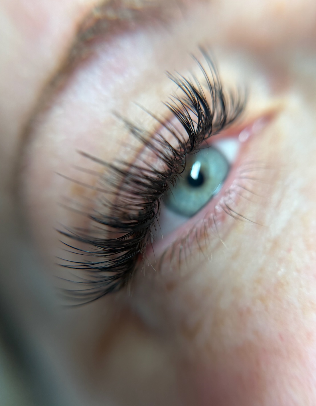 Close-up of luxury volume lash extensions by Opulence Beauty in Cornelius, NC